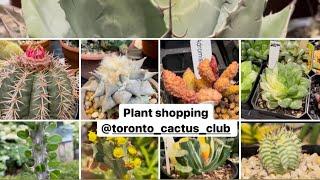 Plant shopping @ The Toronto Cactus & Succulent Club's Plants Show & Sale ( Hoya plants too )