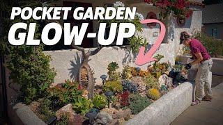 Succulent Pocket Garden Maintenance | La Mesa