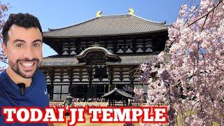 Exploring the Majestic Buddha Todai-ji Temple in Nara | Travel Vlog 