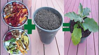 How to Easily Make Organic Compost at Home