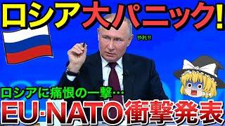 【ゆっくり解説】EUとNATOが電撃発表！ロシア中が大パニック状態【ゆっくり軍事プレス】