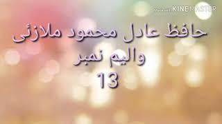 حافظ عادل محمود ملازئی(3)