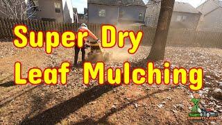 Super Dry Leaf Mulching with the Hustler Trimstar