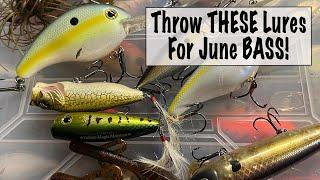 Throw THESE Lures for June BASS Fishing