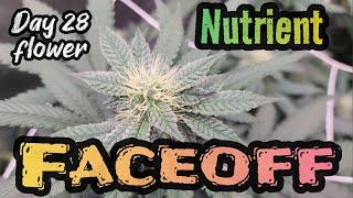 Nutrient Faceoff , the Quest for the Best nutrient line up Season 2 Part 4 , Grown under the #FC4800