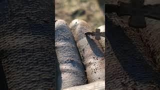 #коп2023 #коп #царскиемонеты #копсметаллоискателем #находка #крест #шмурдяк #шурф #приборныйпоиск