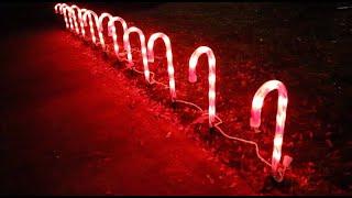 Christmas Candy Cane Decoration Review | Christmas Pathway Lights 72 Count Incandescent Clear Lights