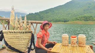 Harvest bamboo shoots to make chili bamboo shoots.BanThiTam_daily life.