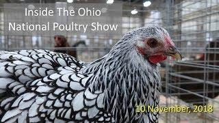 Inside The Ohio National Poultry Show 2018