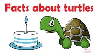 Facts about turtles - turtle facts for kids - Educational Videos for kids