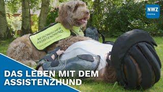 Assistenzhund abgewiesen – Junge Ostfriesin kämpft um Akzeptanz