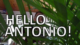 hello antonio!