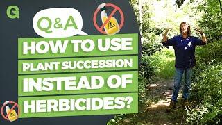 How to Use Plant Succession Instead of Herbicides?