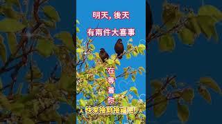 #財神爺#恭喜發財有緣人喜鵲到!明天,後天有兩件大喜事在等你願你所求皆如願接福接財接好運事事順心️好運連連財源滾滾 #祝福 #正能量