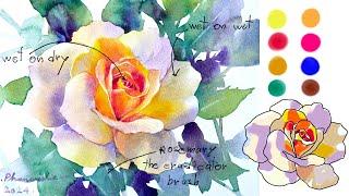 Rose 2024 Step by step watercolor Tutorials