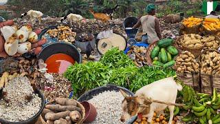 Egbeda EARLY MORNING Market Ibadan Nigeria  West Africa. Rural Village Market day. Cheap Foodstuff