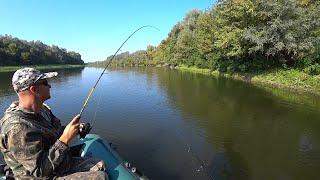 Spinners caught all other baits. Spinning.