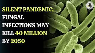 Silent Pandemic  Fungal Infections may Kill 40 Million by 2050 | WION Podcast