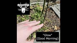 SP RECORDS - Glow (Good Morning)