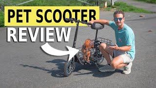 Review of the Gyroor C1S Pet Scooter