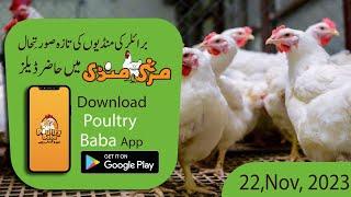 Poultry Baba And Broiler Rate | Daily broiler and poultry markets | Poultry Farm business plan.