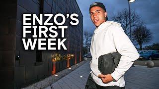 ENZO'S FIRST WEEK AS A BLUE! 