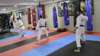 Kata Pinan Godan Shorin-Ryu Shinshukan CiB Workout