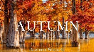 Autumn Melodies 4K • Scenic Relaxation Film 4k • Peaceful Relaxing Music and Nature Video • 4K UHD