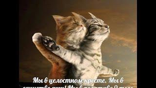 Вебинар  9 лет методу Матрица Судьбы с Наталией Ладини HD