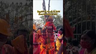 Medaram Sammakka Sarakka jatara 2025 | feb 12 to 15 medaram jatara 2025 #medaramjathara #trending