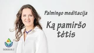 Palmingo meditacija - Ką pamiršo tėtis