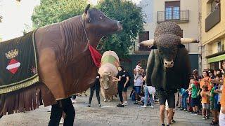 Plantada i Ballada Celebració 10è aniversari del CORREBOUS i dels BOUS aValls (Fira Sta Úrsula 2022)