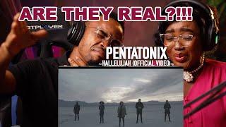 FIRST TIME REACTION TO PENTATONIX   HALLELUJAH - OFFICIAL VIDEO