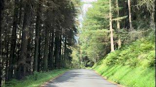 Relaxing drive through Dalby Forest