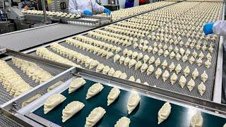 국내 최대 규모! 압도적인 만두공장의 냉동만두 생산과정 Frozen dumpling mass production process at a Korean dumpling factory