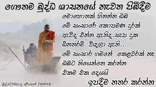 ඔබ සොයන්නේ ධර්මය නම් ඔබට පෙනෙන මේ ලෝකයේ සත්‍ය සොයන්න..බුද්ධෝත්පාද ආර්යයන් වහන්සේ