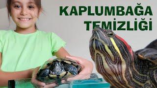 SU KAPLUMBAĞASI TEMİZLİĞİ I CEYLİN ALTINORDU