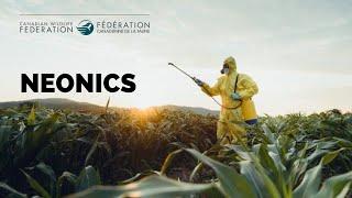 Ban With a Plan | What are Neonics?