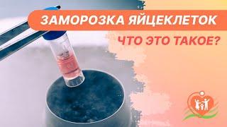 ️ Заморозка яйцеклеток - что это такое?