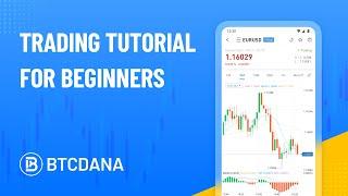 Tutorial For Beginners by BTCDana
