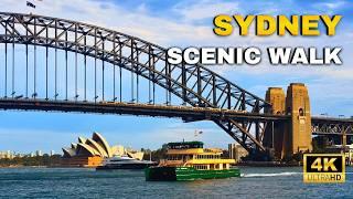 Sydney City Walk 4K | Hidden Gems: Milsons Point, Lavender Bay & Harbour Bridge