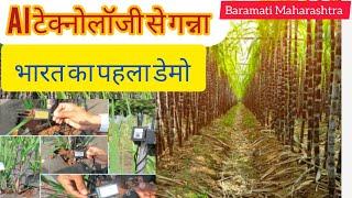 AI टेक्नोलॉजी से गने की खेती by agrisunilsrb