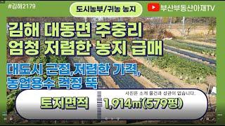 김해 대동면 주중리 농사짓기 좋은 급매 농지 매매 (대토용.조합원 가입용)