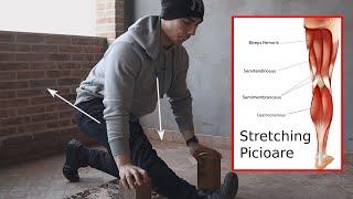 TOP 4 EXERCITII DE FLEXIBILITATE / STRETCHING PENTRU PICIOARE