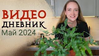 ВИДЕОДНЕВНИК цветовода | Май 2024 | Распаковка каладиумов, своп, теплица!  БУДНИ ЦВЕТОВОДА