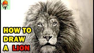 How to draw a lion / pencil drawing / 铅笔素描画：如何画狮子