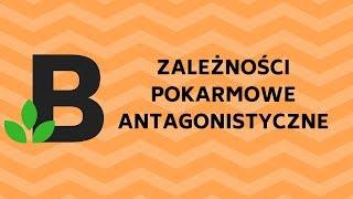 zależności pokarmowe antagonistyczne EKOLOGIA  - #ekologia - KOREPETYCJE z BIOLOGII - 139