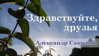 Здравствуйте, друзья - Александр Саврасов