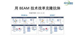 【陈巍学基因】第100期：用BEAM技术找单克隆抗体