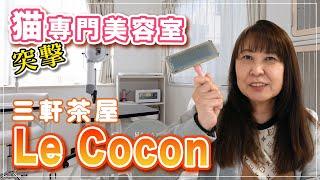 新企画！突撃となりの推奨店、三軒茶屋Le Cocon（ル・ココン）プライベート空間が猫に優しい猫専門美容室